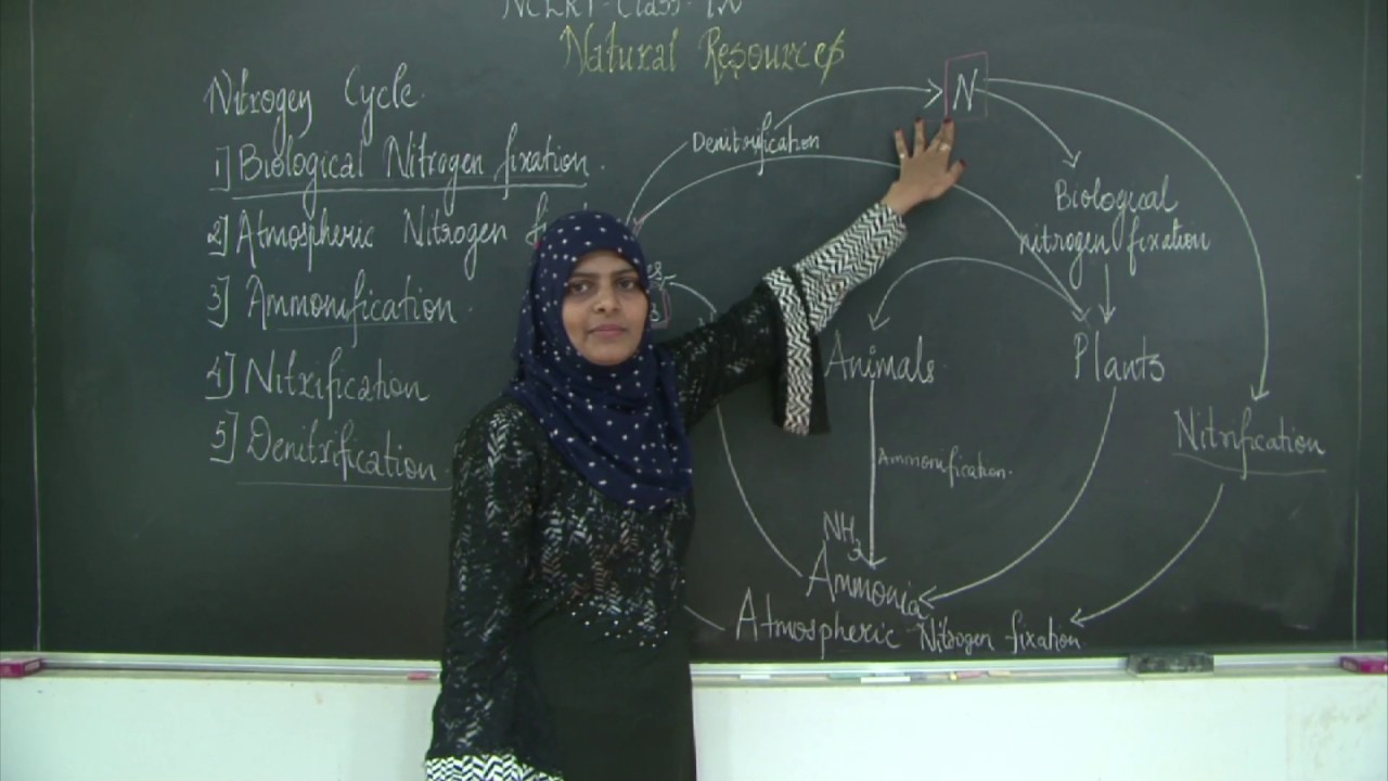 CBSE l Class 9 l Science l Chapter 14 l Natural Resources l Nitrogen Cycle l Carbon Cycle l