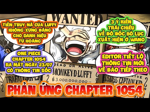 Video Tổng hợp PHẢN ỨNG của FAN về Luffy, Aramki trước khi... - youtube