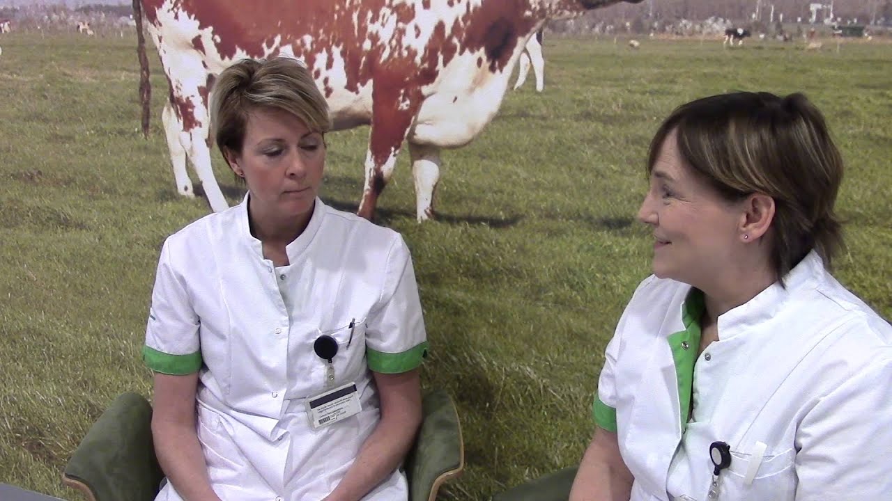 Patiënt als Partner op de Dialyse afdeling