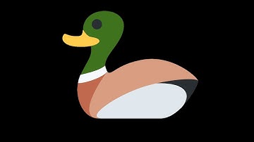 Duck Particle Accelerator