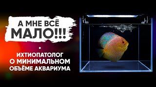 :     . @vladimirkovalev2731