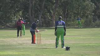 LMB vs CCL Blue - QF 2022 - 2nd Innings screenshot 2