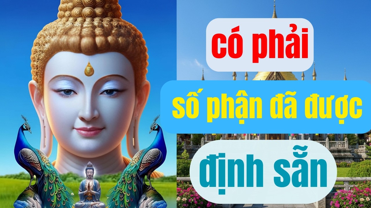 Hiểu Đúng Về Lời Nói Tổn Thương: Theo Phật Giữa Đời Thường Để Tìm Lại Bình An Và Yêu Thương