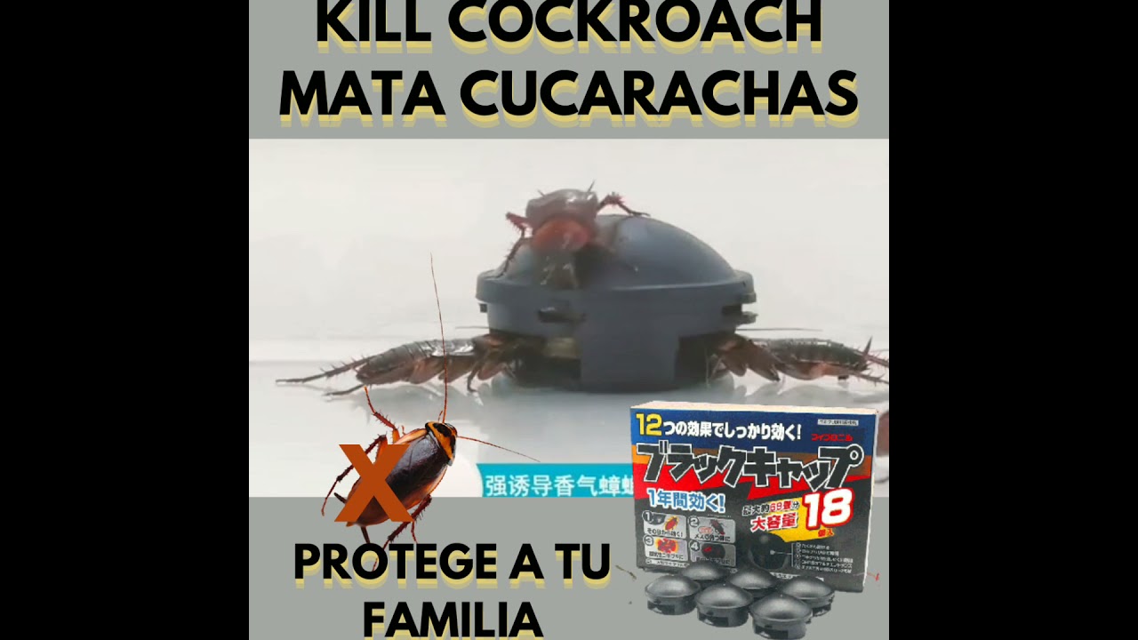 EL MEJOR MATA CUCARACHAS (KILL COCKROACH X 18)