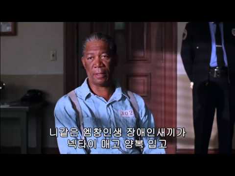 3000일 밴먹은 수용소종자의 최후