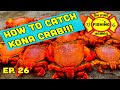 How to Catch Kona Crabs in Hawaii...ON FIRE FISHING HAWAII, EP. 26 ,