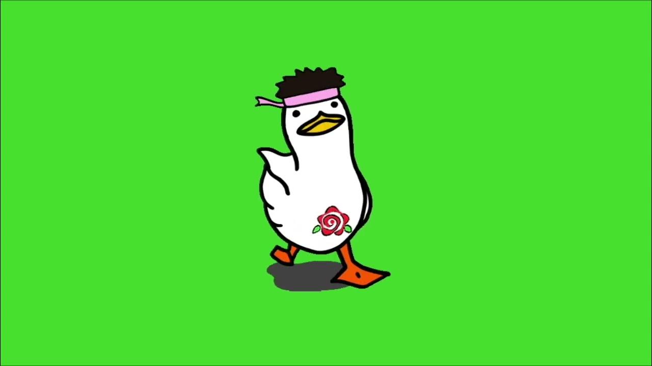 PATO TADE sale a CAMINAR por 10 HORAS YouTube