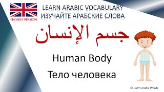 English Version - Arabic Words 51 - Topic:  Human Body - Plural / Тема: Тело человека