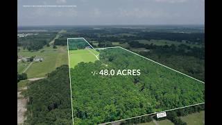 MG Farm