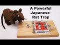 A Powerful Japanese Rodent Trap - Fox, Cat, Raccoon, Hawk, & Deer - Mousetrap Monday