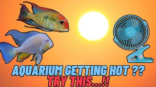 BEST AQUARIUM COOLING IDEA 🚀| TROPICAL TANK SETUP ⚙️| HOT WEATHER INDIA | AQUARIUM FAN 🐠