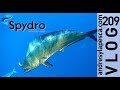 SPYDRO MAHI-MAHI