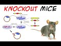 Knockout mice