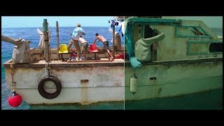 47 Meters Down Vfx Breakdown By Outpost Vfx