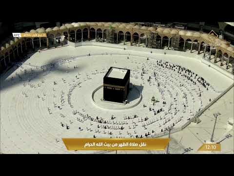1- افوكادو جرول 2- عصيده التين.. 