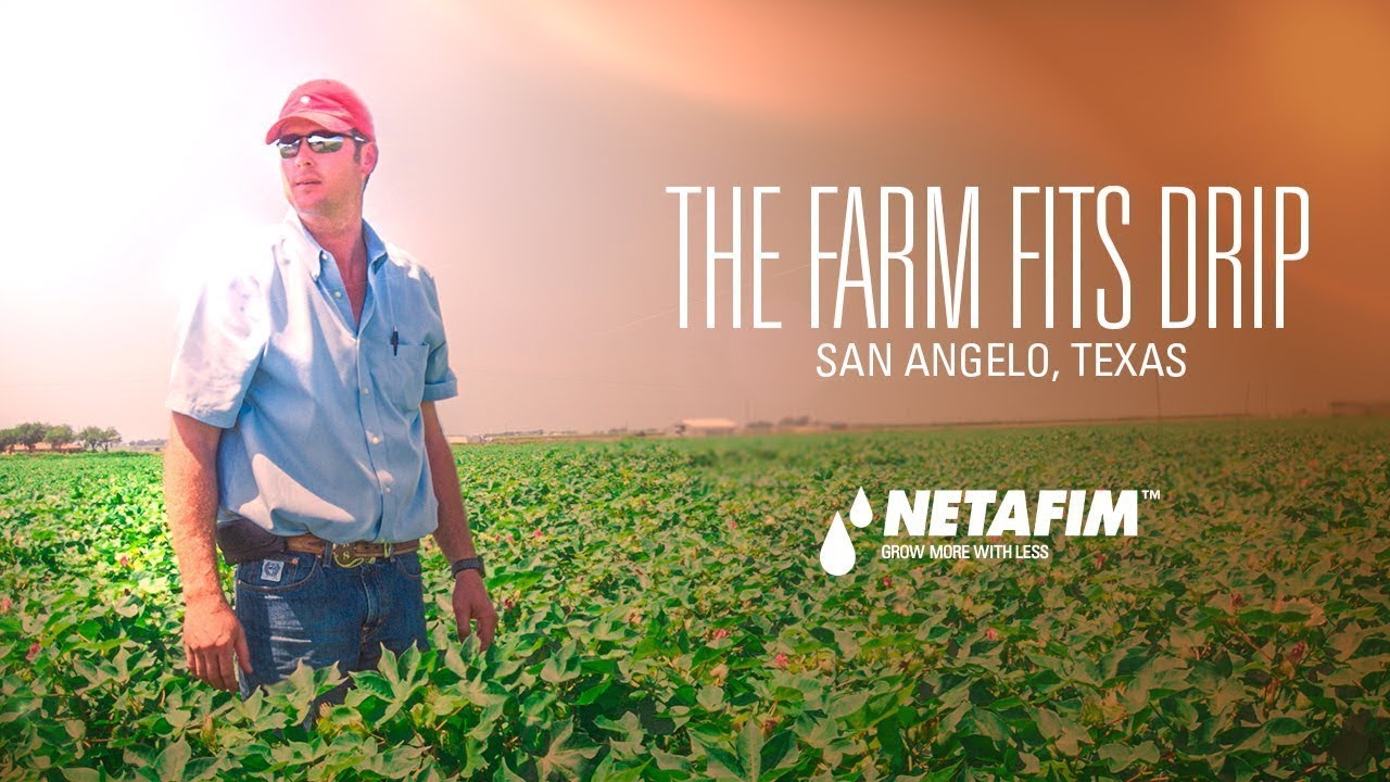 The Farm Fits Drip: West Texas Cotton farm uses Drip Irrigation to stretch their water supply