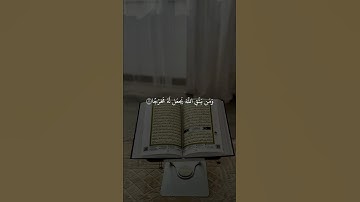 "ومن يتق الله يجعل له مخرجا" تلاوة جميلة للشيخ بدر التركي #الشيخ #بدر_التركي #المصحف #تلاوات