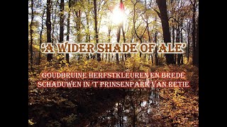 Download Lagu A Wider Shade Of Ale - Retie Prinsenpark, herfstkleuren MP3 Download Lagu A Wider Shade Of Ale - Retie Prinsenpark, herfstkleuren MP3