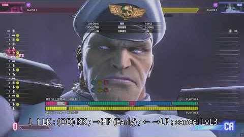 M. Bison 7.7k damage punish combo