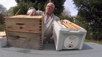 Creating a nucleus of bees - method 2