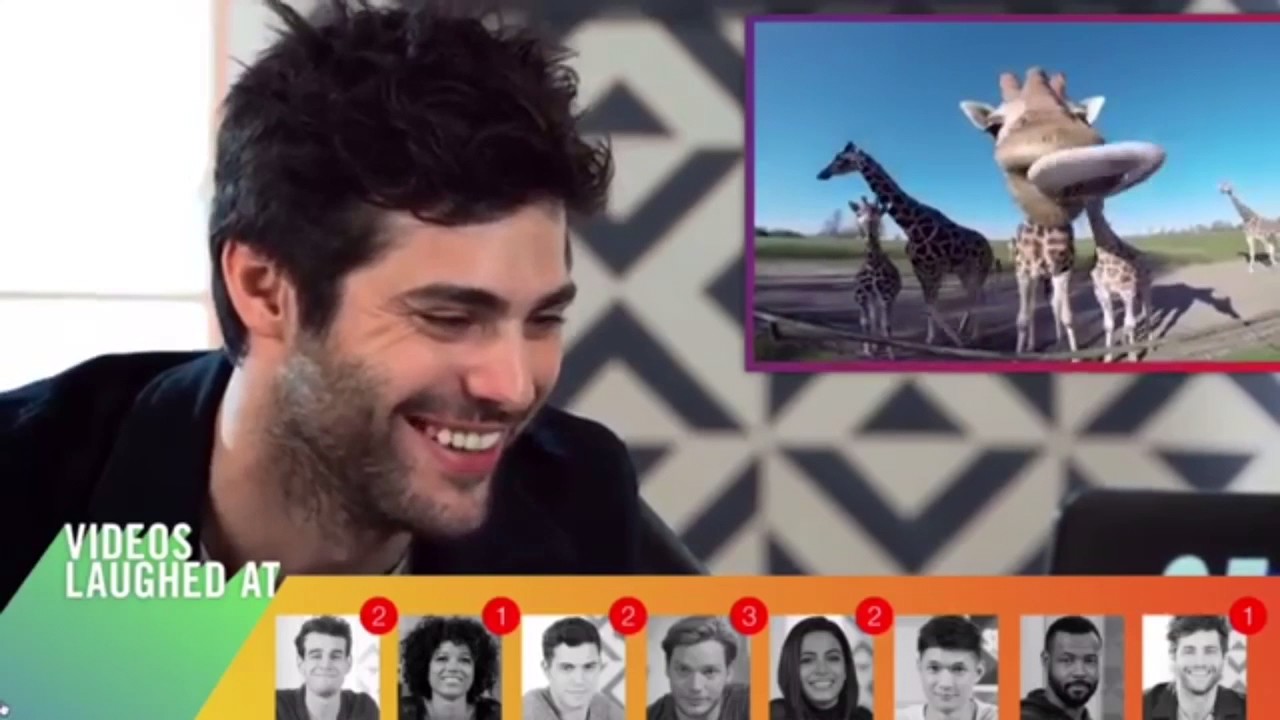 EVERY MATT SCENE FROM CELEBS REACT