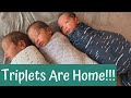 Triplets Home from Hospital | Reunited for the First Time (Videos & Pictures)