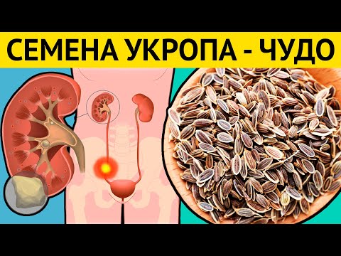 Video: Сулуулук жана жаштык үчүн укроп уруктары