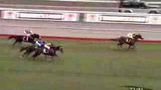 Famous 2002 Melbourne Cup Profile