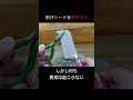 ギャッビーに火を付けて