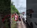 El a reparat canalul pentru ele ❤️
