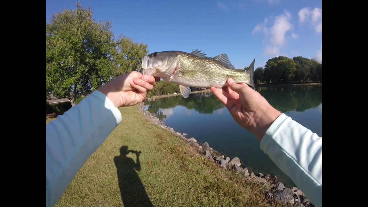 Fishing for Bass and Catfish! 