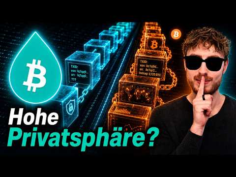 How anonymous is the Bitcoin Liquid Network?