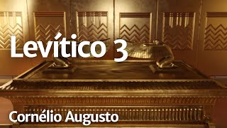 Bíblia Falada | Levítico 03