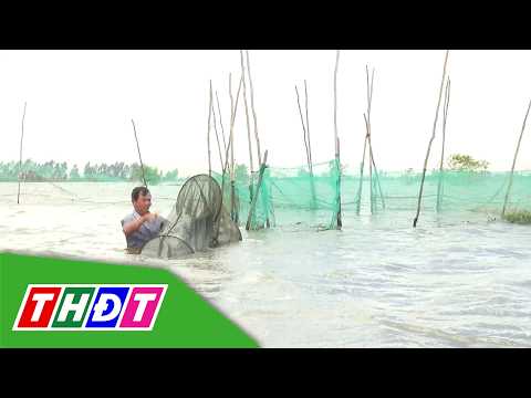 Nông dân nương con nước, giữ cá đồng | THDT