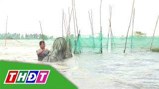 Farmers leverage the rising tides to raise native fish | THDT