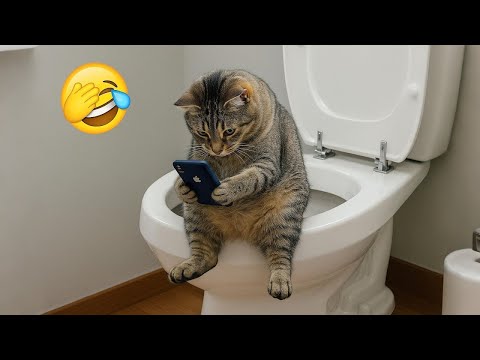 Funny Animals 😄 Pets With the Funniest Reactions Ever 😹🐾