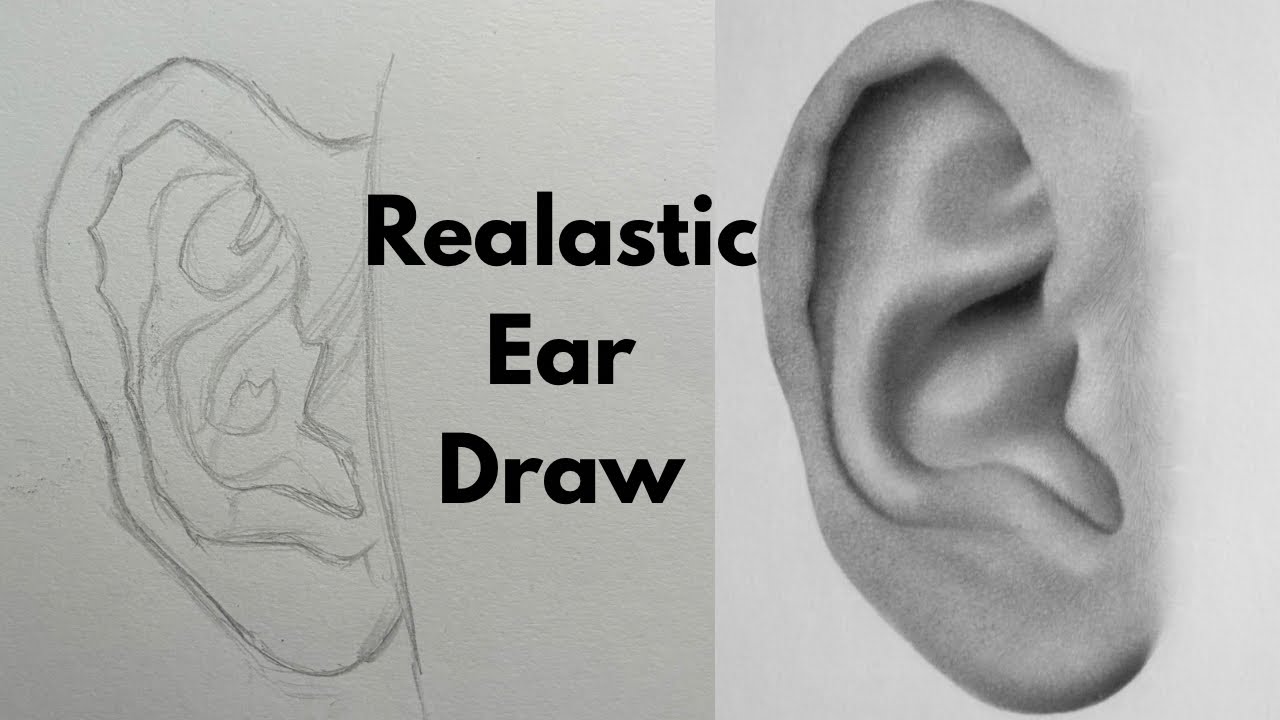 How To Draw Realastic Ear | Step-By-Step Drawing 