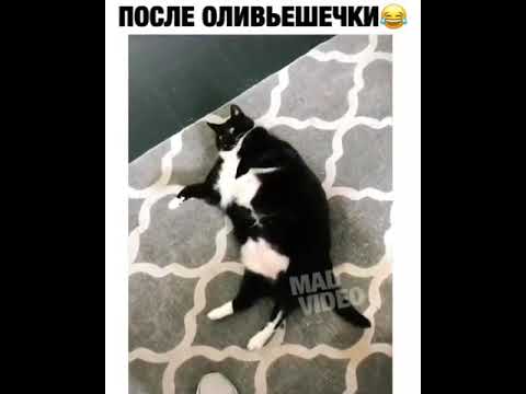 Видео После Нового Года Видео После Нового Года