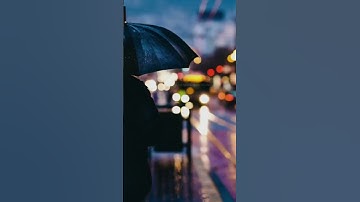 ‏سورة الصافات من آية ￼91 إلى آية ￼101￼￼
