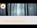 Expressionismus | Literaturepoche und ihre Merkmale