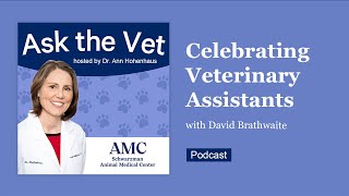 Ask the Vet: Celebrating Veterinary Assistants