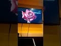 『アフロディーテ』高橋真梨子   うたってみました🎵