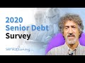 2020 Senior Debt Survey