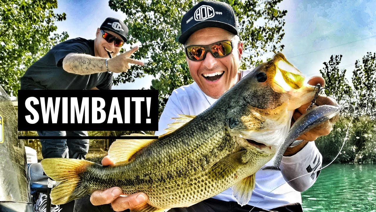 BASS FISHING : TUTTO sulle SWIMBAIT per il black basss by Luca Quintavalla e Ivan Benini