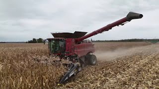 видео: Сбор белой кукурузы в Индиане (43-й и 44-й дни сбора урожая), 6 сезон, 34 серия картинка: Сбор белой кукурузы в Индиане (43-й и 44-й дни сбора урожая), 6 сезон, 34 серия