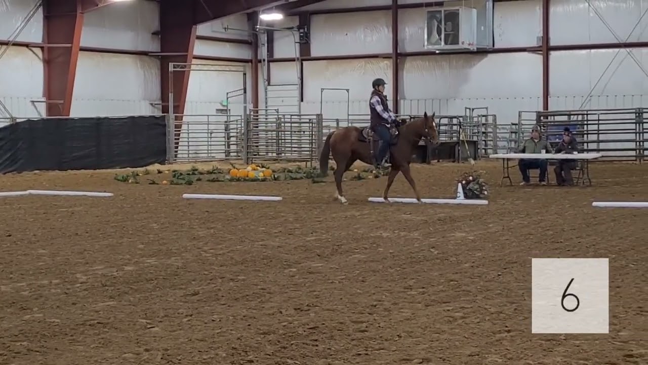 Working Equitation Level 1