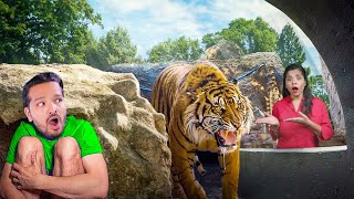 Jungle Safari Main Dikha Lion Myra Got Scared