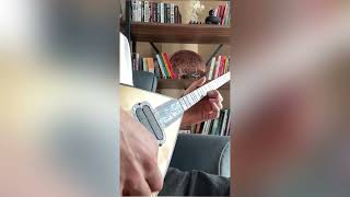 Ebru Gündeş- Ölümsüz Aşklar Elektro Bağlama Cover