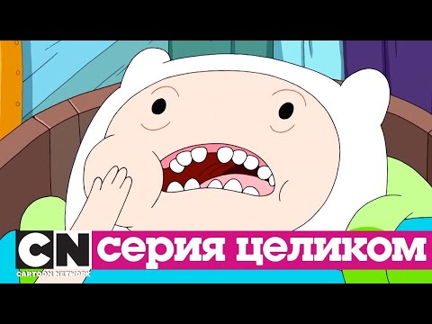 Время приключений | Дантист (серия целиком) | Cartoon Network