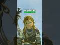 Link's Hidden Facial Expressions